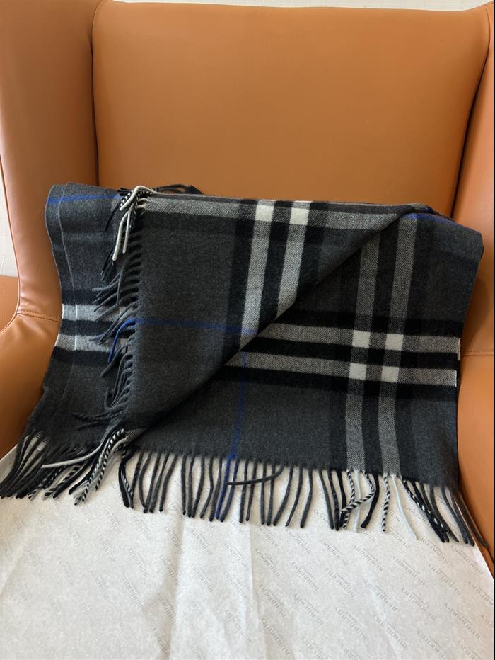 2026116111241198 140